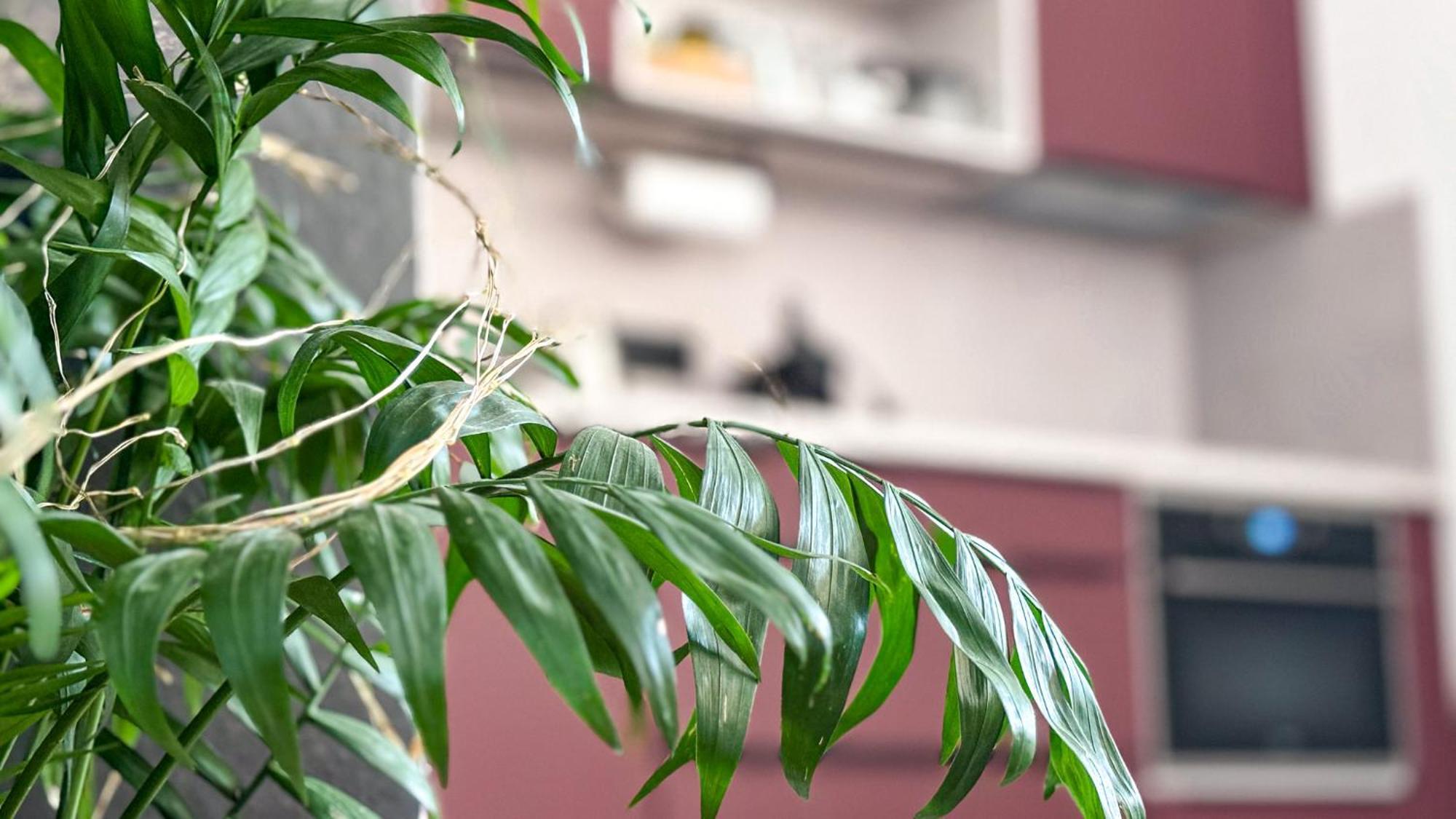 Remote Work Friendly Zahradni Apartman U Jezera ستير سبلافي المظهر الخارجي الصورة