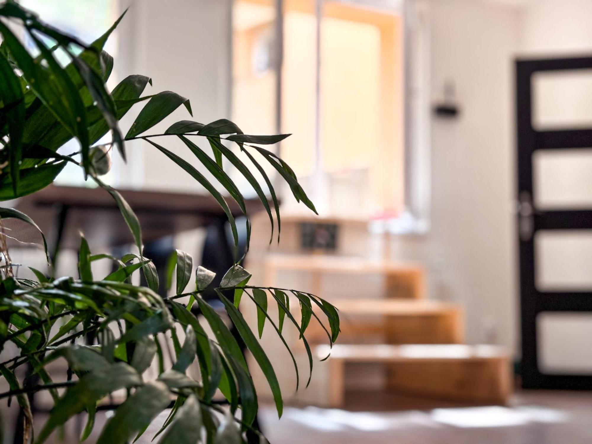 Remote Work Friendly Zahradni Apartman U Jezera ستير سبلافي المظهر الخارجي الصورة
